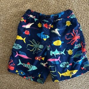 Boys bathing suit